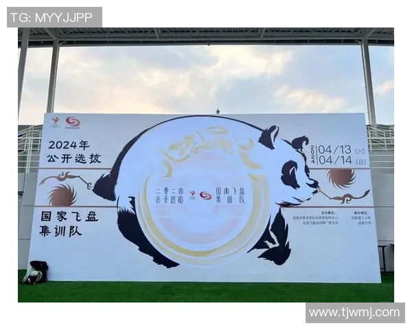 南京飞盘队逆袭之路：从挑战到辉煌的精彩反击解析