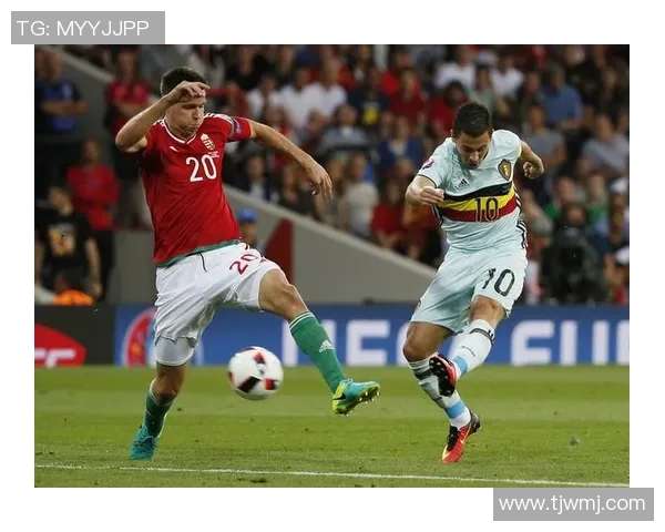 激情对决意大利与比利时直播盛宴尽在此刻不容错过