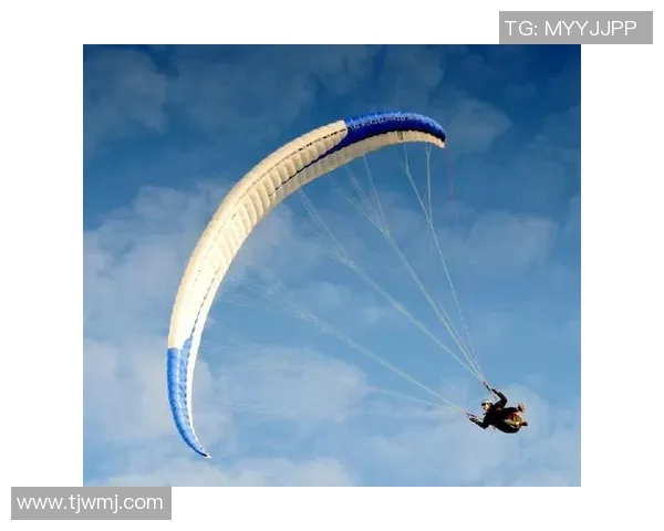 重庆极限运动队荣登全国极限运动状态排行榜第四名的荣耀时刻